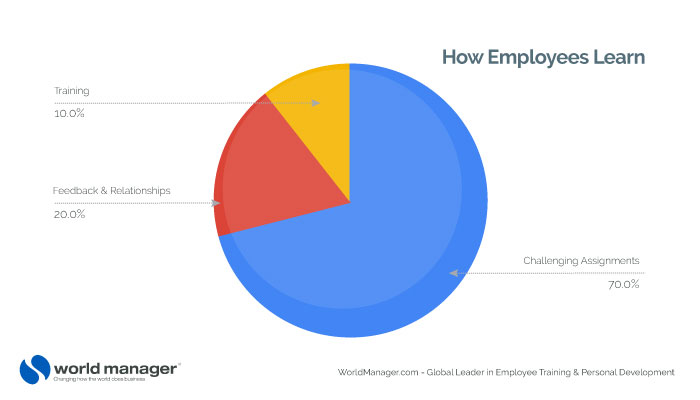 How Employees Learn pie chart