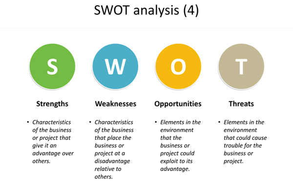 SWOT sample analysis