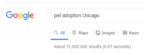 Google search result pet adoption Chicago