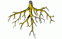 icon-tree-root